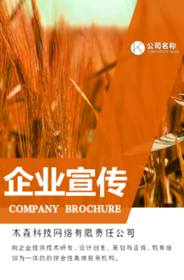 木森网络 以城市智慧基因，驱动数字创新未来